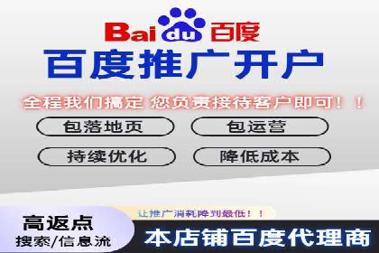 百度竞价代理技巧：经典成功案例解析